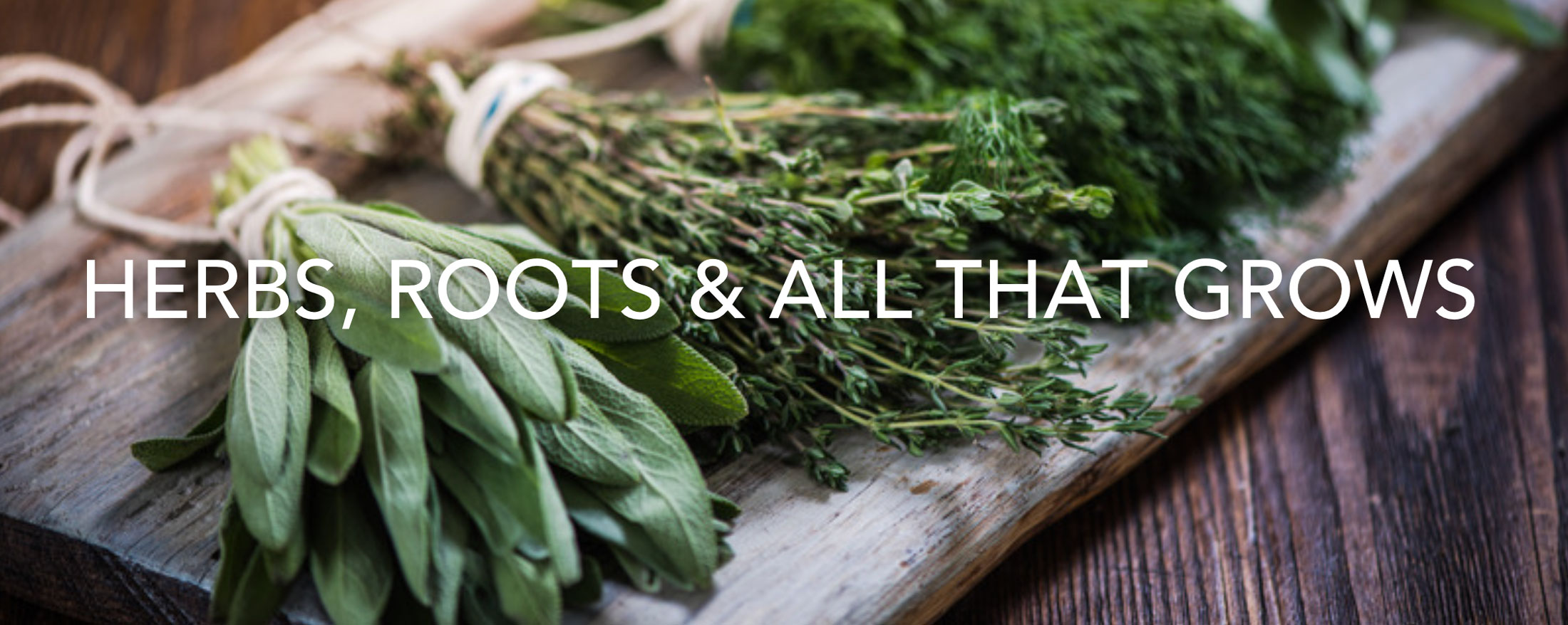 Herbs, Roots & All That Grows